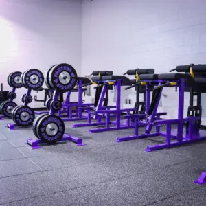 [WS] Deluxe Glute Ham Hyper Combo