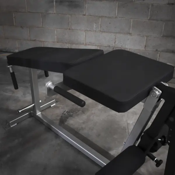 [WS] Deluxe Leg Extension – Leg Curl
