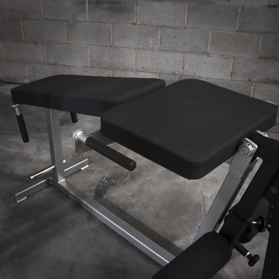 [WS] Deluxe Leg Extension – Leg Curl