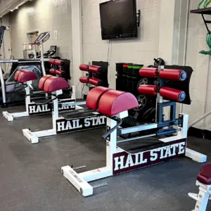 [WS] Signature Linear Bearing Glute – Ham Bench