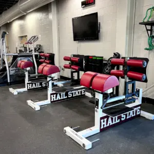 [WS] Signature Linear Bearing Glute – Ham Bench