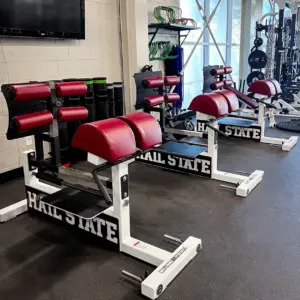 [WS] Signature Linear Bearing Glute – Ham Bench
