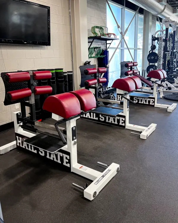 [WS] Signature Linear Bearing Glute – Ham Bench