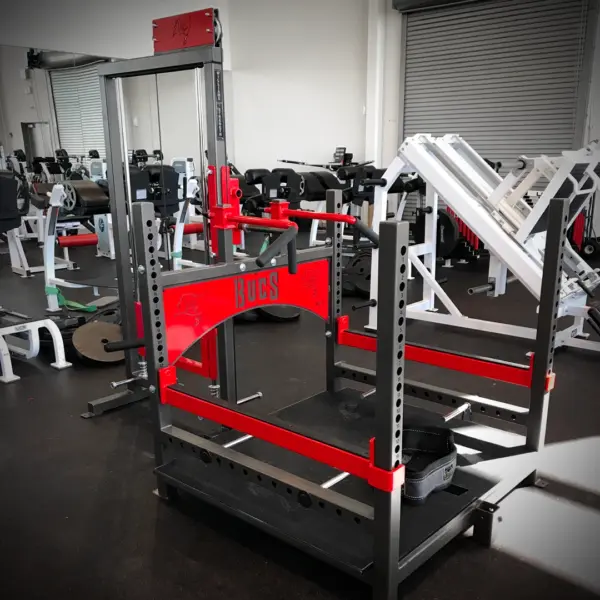 [WS] Tiger Belt Squat