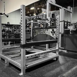 [WS] Tiger Belt Squat