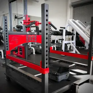 [WS] Tiger Belt Squat