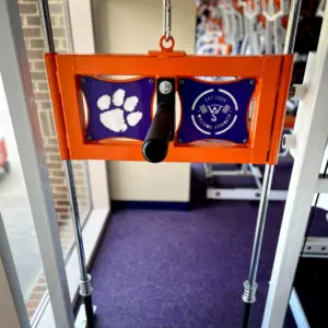[WS] Tiger Belt Squat