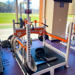 [WS] Tiger Belt Squat