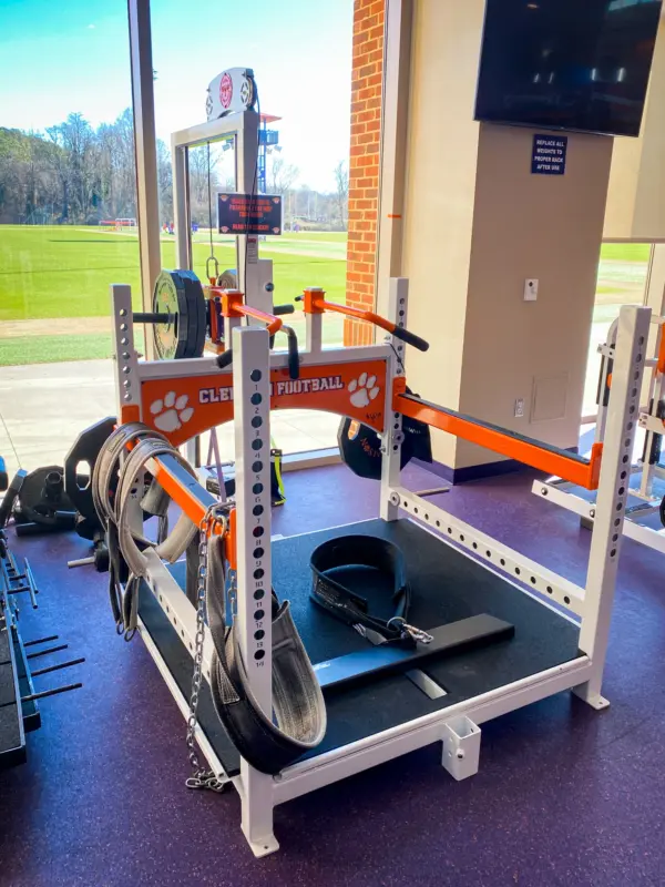 [WS] Tiger Belt Squat