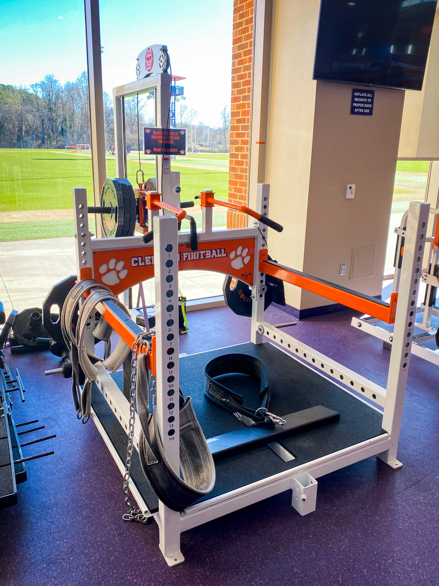 WS] Tiger Belt Squat | Williams Strength