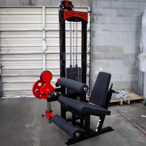[WS] Signature Seated Leg Ext-Leg Curl Combo