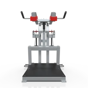 [WS] Signature Bear Squat - Image 4