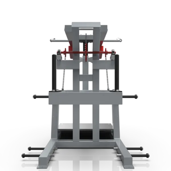 [WS] Signature Bear Squat