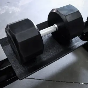 [WS] Signature Dumbbell Rowing Station