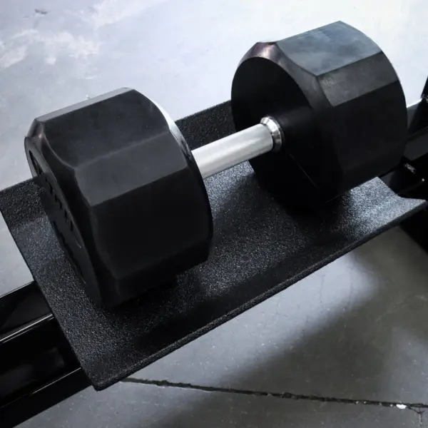 [WS] Signature Dumbbell Rowing Station