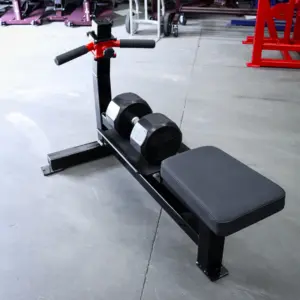 [WS] Signature Dumbbell Rowing Station
