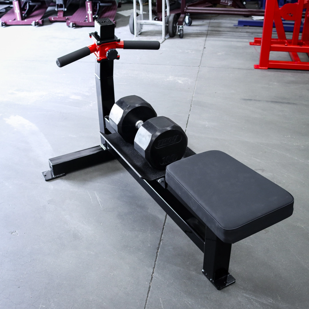 [WS] Signature Dumbbell Rowing Station
