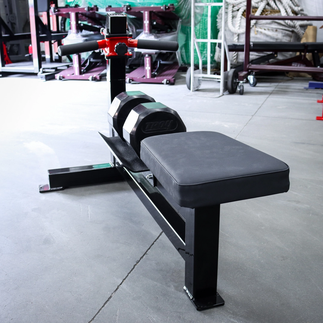 [WS] Signature Dumbbell Rowing Station
