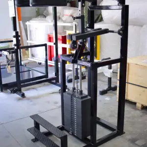 [WS] Signature Selectorized Calf Raise Machine