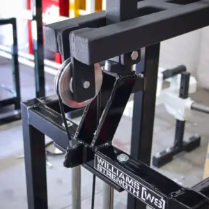 [WS] Signature Selectorized Calf Raise Machine