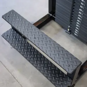 [WS] Signature Selectorized Calf Raise Machine