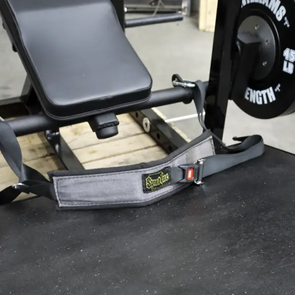 [WS] Deluxe Hip Thrust Machine