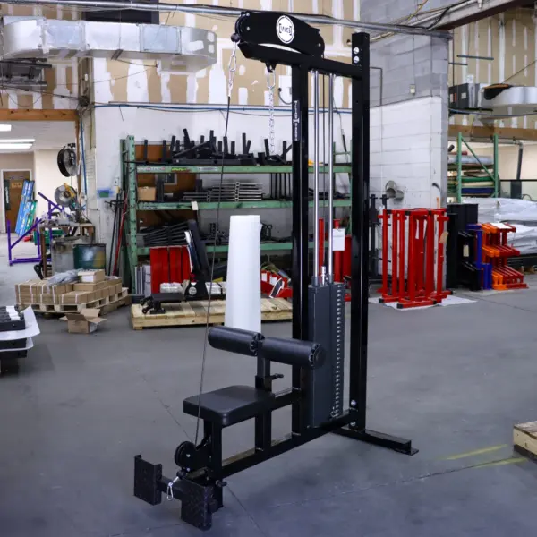 [WS] Deluxe – Lat Pull + Low Row