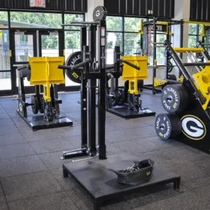 [WS] Deluxe Belt Squat – Small Footprint
